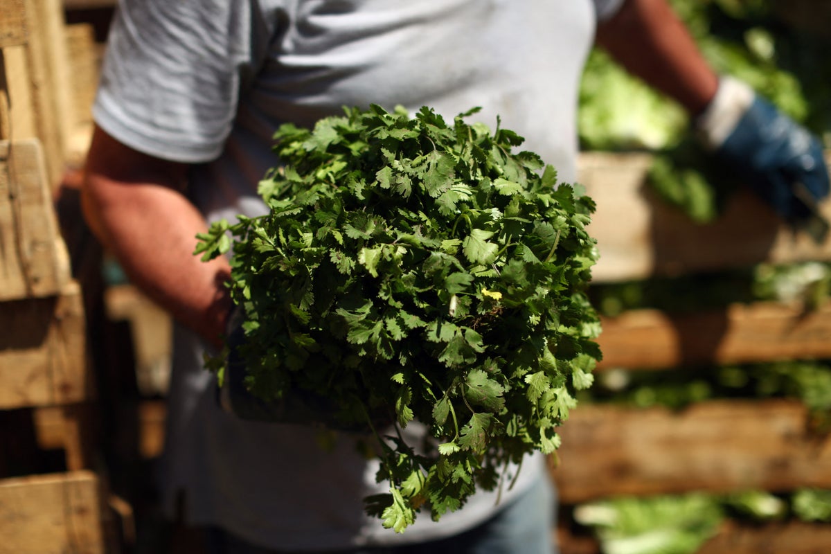 Not just a garnish! The herb that can help shed water weight and relieve bloating