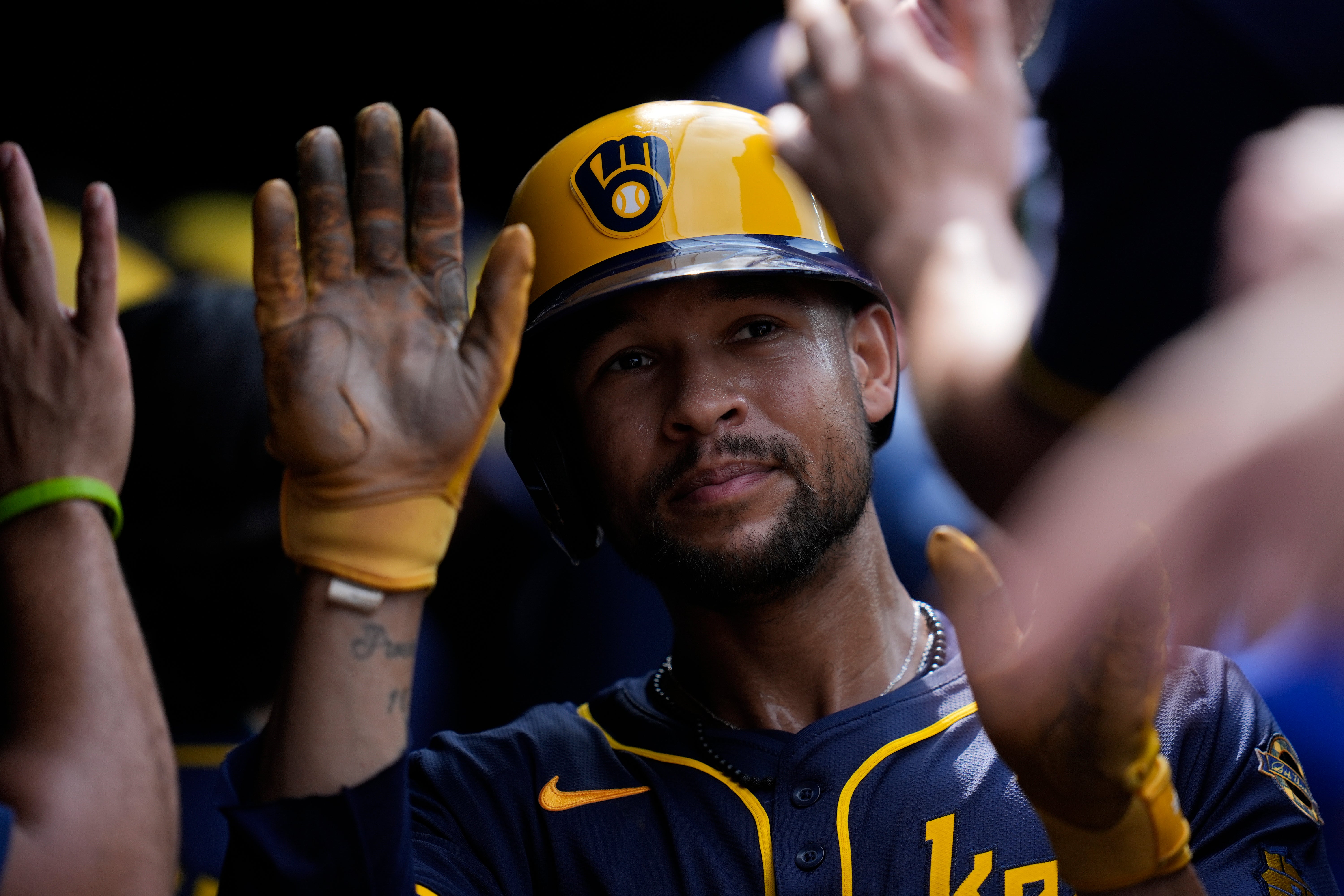 CERVECEROS CACHORROS