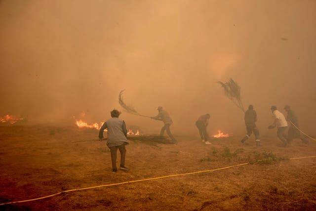 <p>Residents battle a fire advancing toward Rebordondo</p>