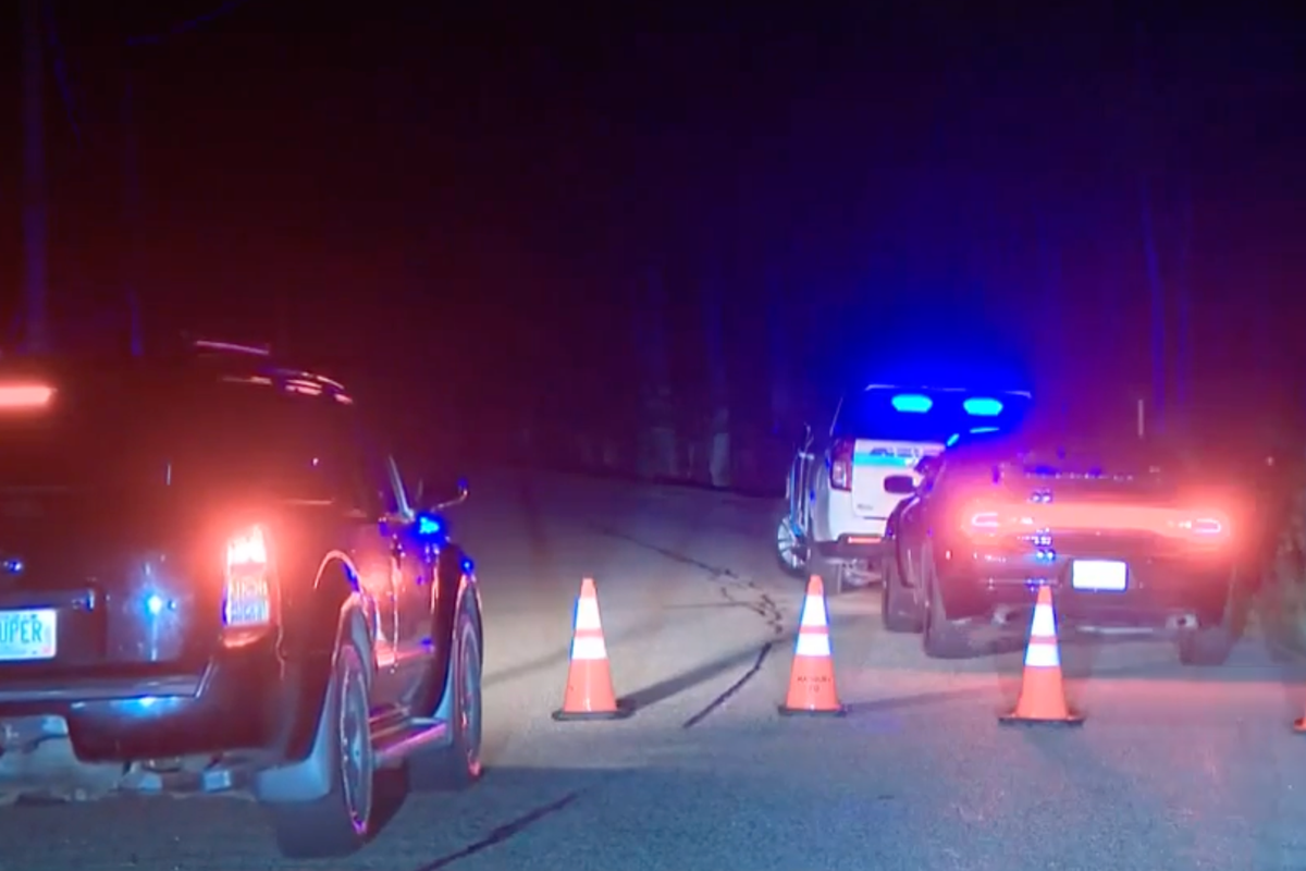 Two adults and two children found dead in New Hampshire murder suicide – but toddler left unharmed: police