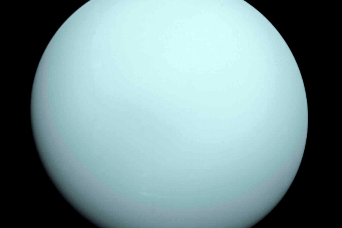 NASA's Webb telescope finds a new tiny moon around Uranus