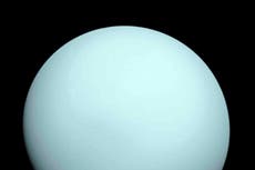NASA's Webb telescope finds a new tiny moon around Uranus