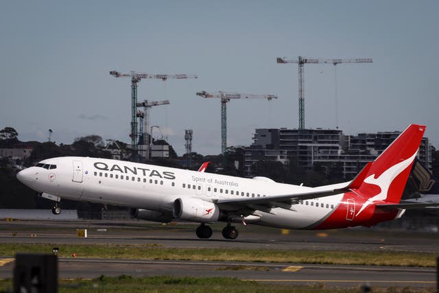 <p>Cranes on a construction site are seen behind a Qantas Airways Boeing 737 aircraft as it takes off from Sydney International Airport</p>