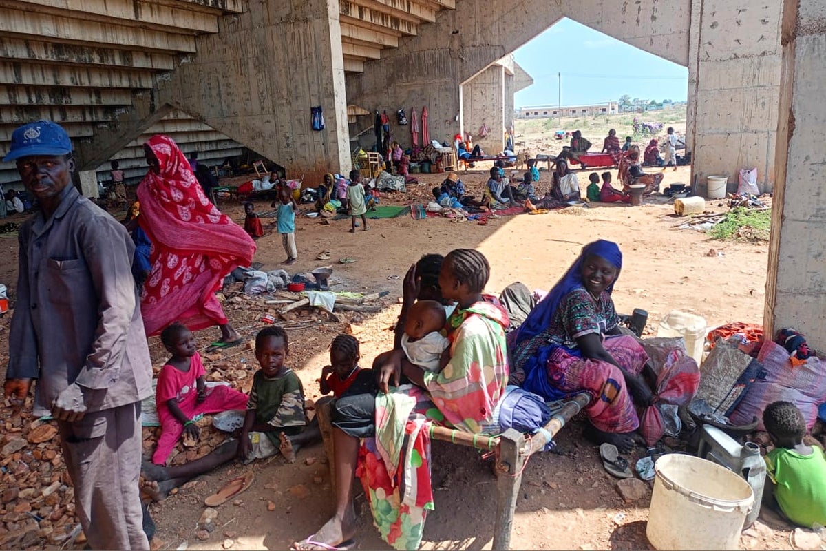 Drone attack destroys 16 trucks carrying UN food to Sudan's famine-hit Darfur region