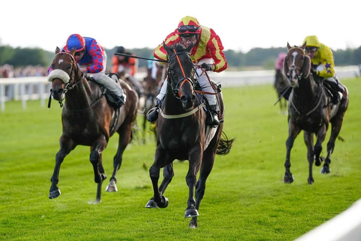 Increased betting tax would be a hurdle that horse racing may not overcome