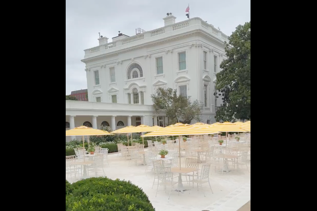 Trump blares ‘Whiter Shade of Pale’ and shows off umbrella flown from Mar-a-Lago in bonkers tour of White House Rose Garden
