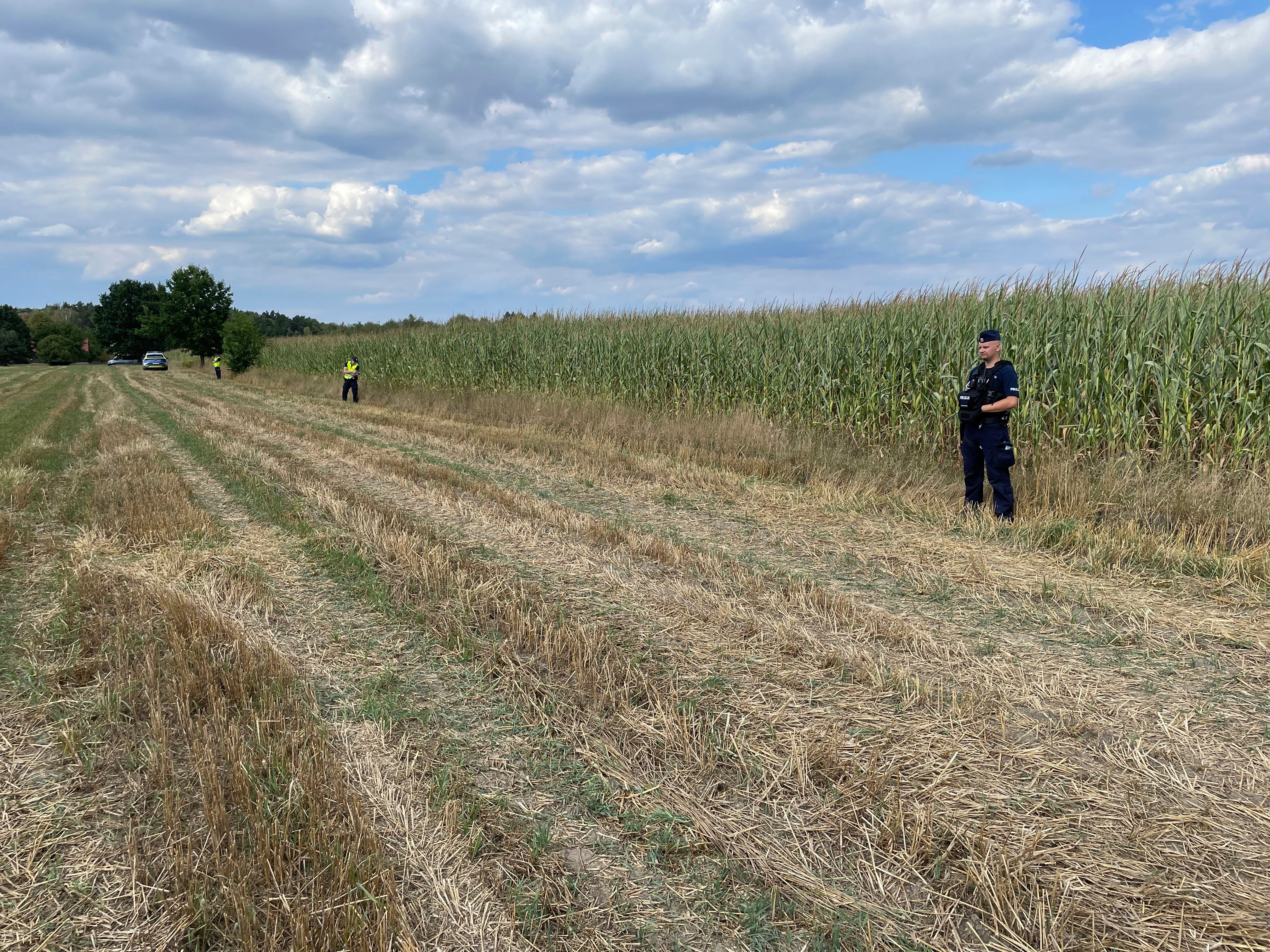 Police secure the area of a cornfield where an unidentified flying object has crashed and exploded in the country's east in Osiny, Poland, Wednesday, Aug. 20, 2025. (AP Photo)