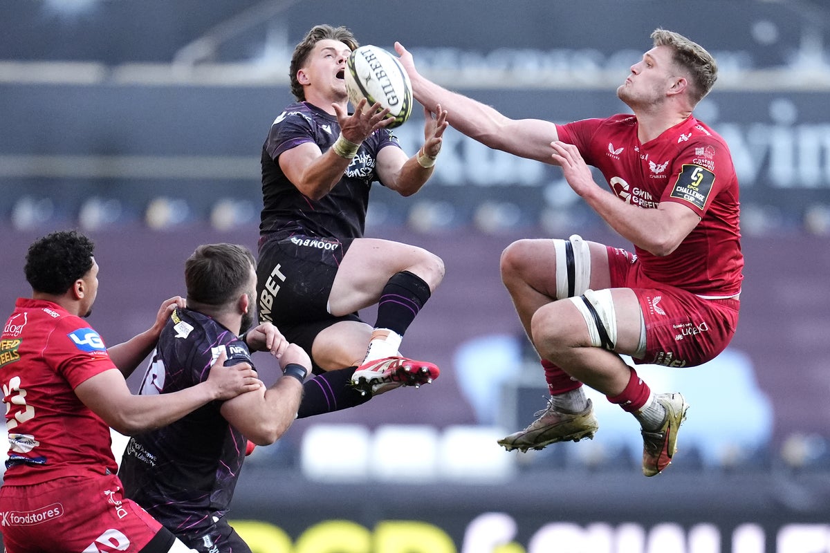 The controversial plans that aim to shake up Welsh rugby