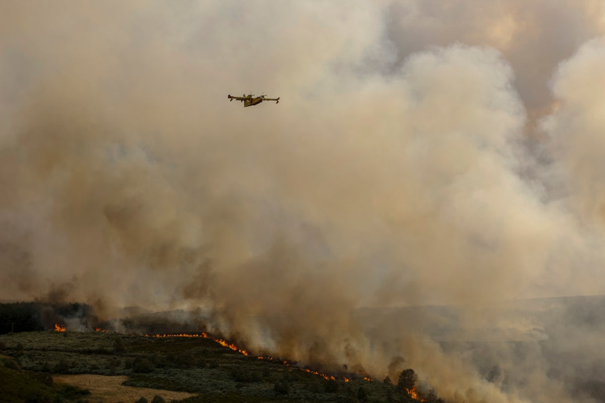 Scientists find carbon monoxide antidote that could treat poisoning within minutes