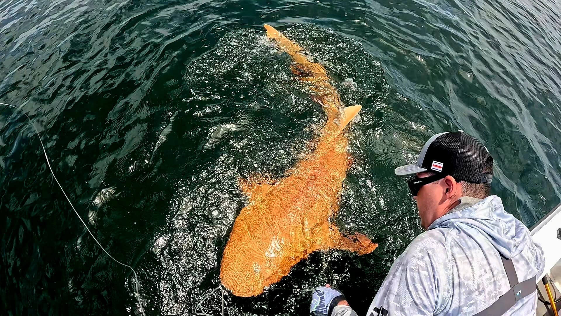 The rare pigmentation condition has never been seen in cartilaginous fish, a group that includes sharks, rays, and skates, in the Caribbean before