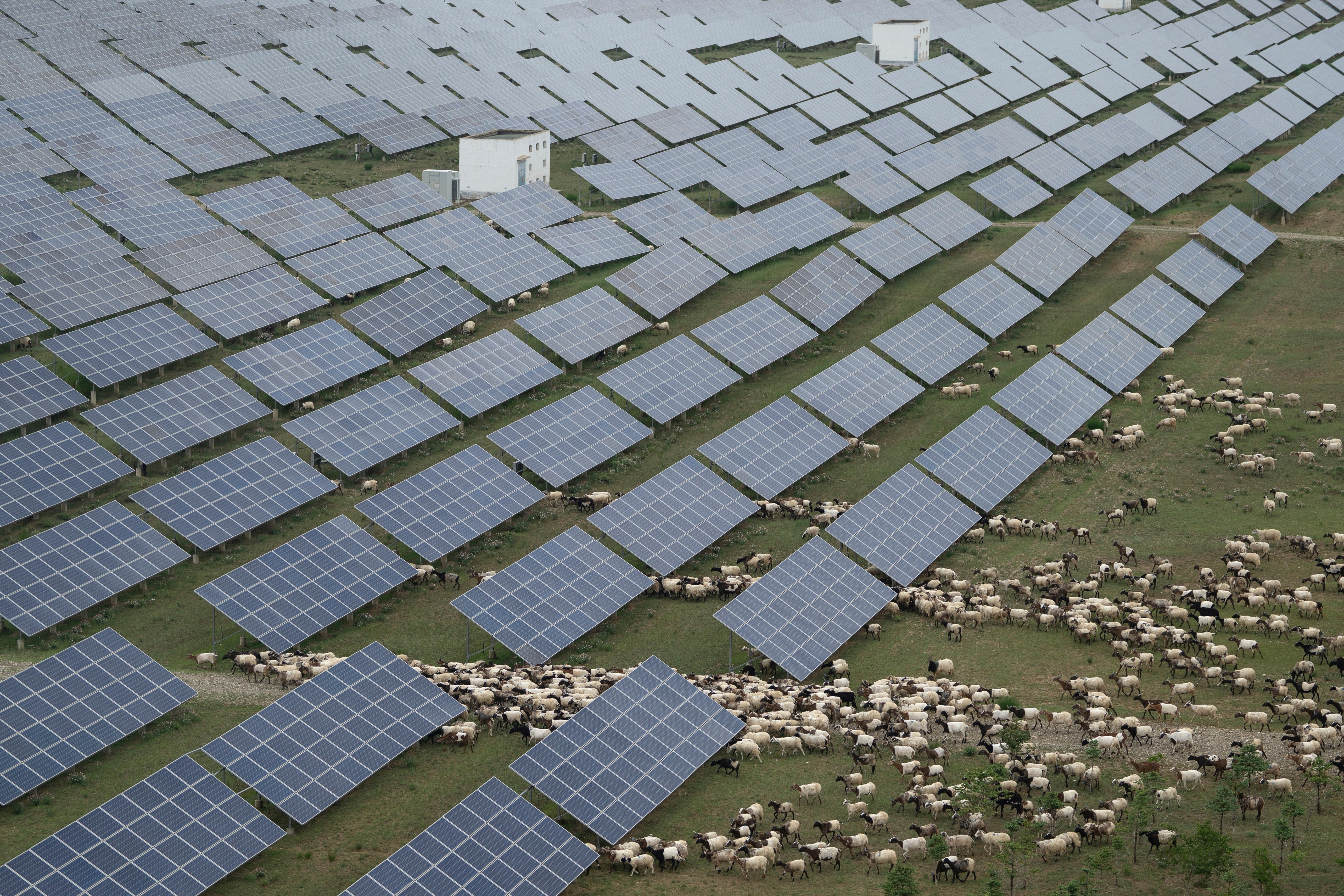 China installed 212 gigawatts of solar capacity in the first six months of the year, more than America's entire capacity of 178 gigawatts as of the end of 2024, the study said
