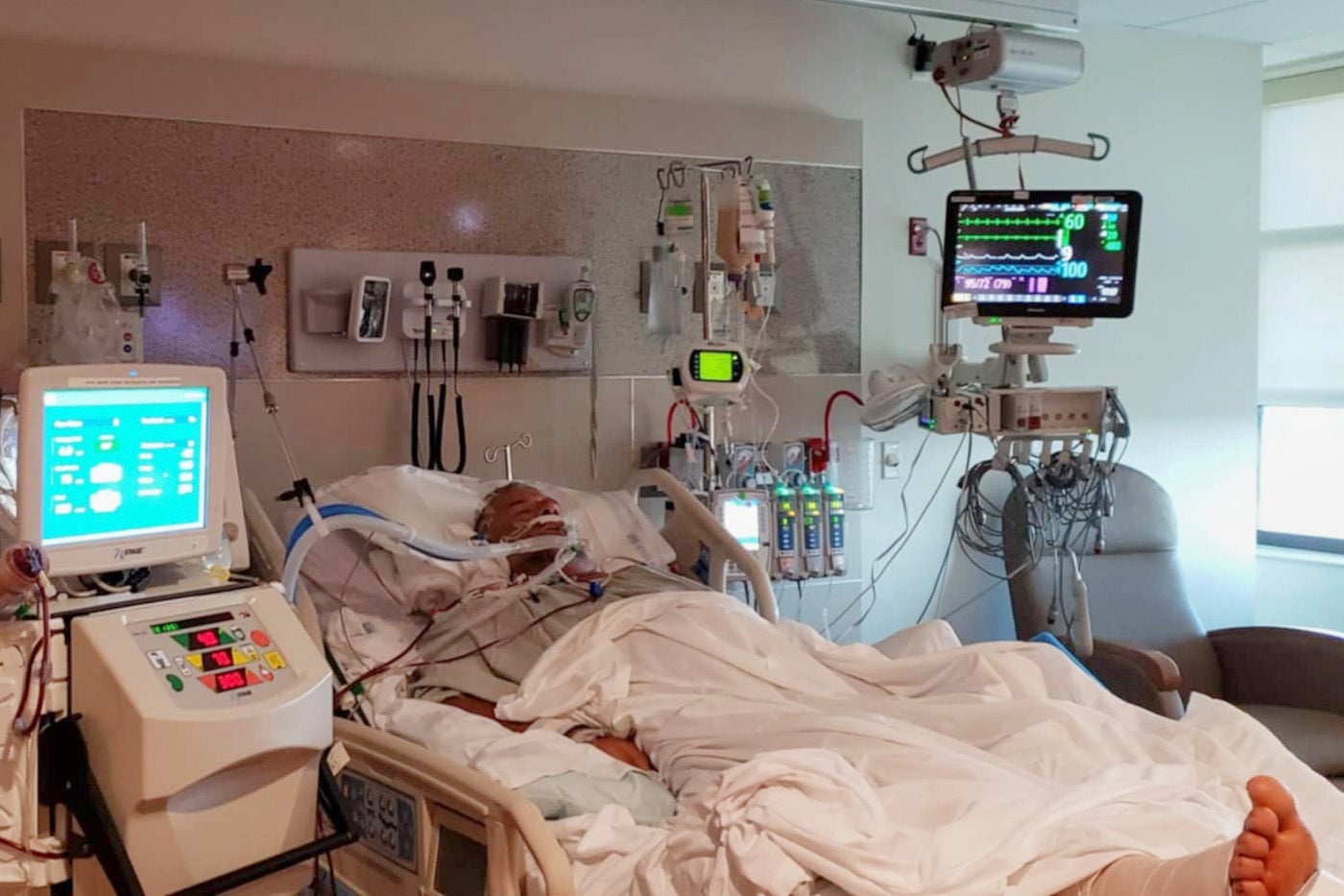 BACTERIA MARINA-ENFERMEDADES