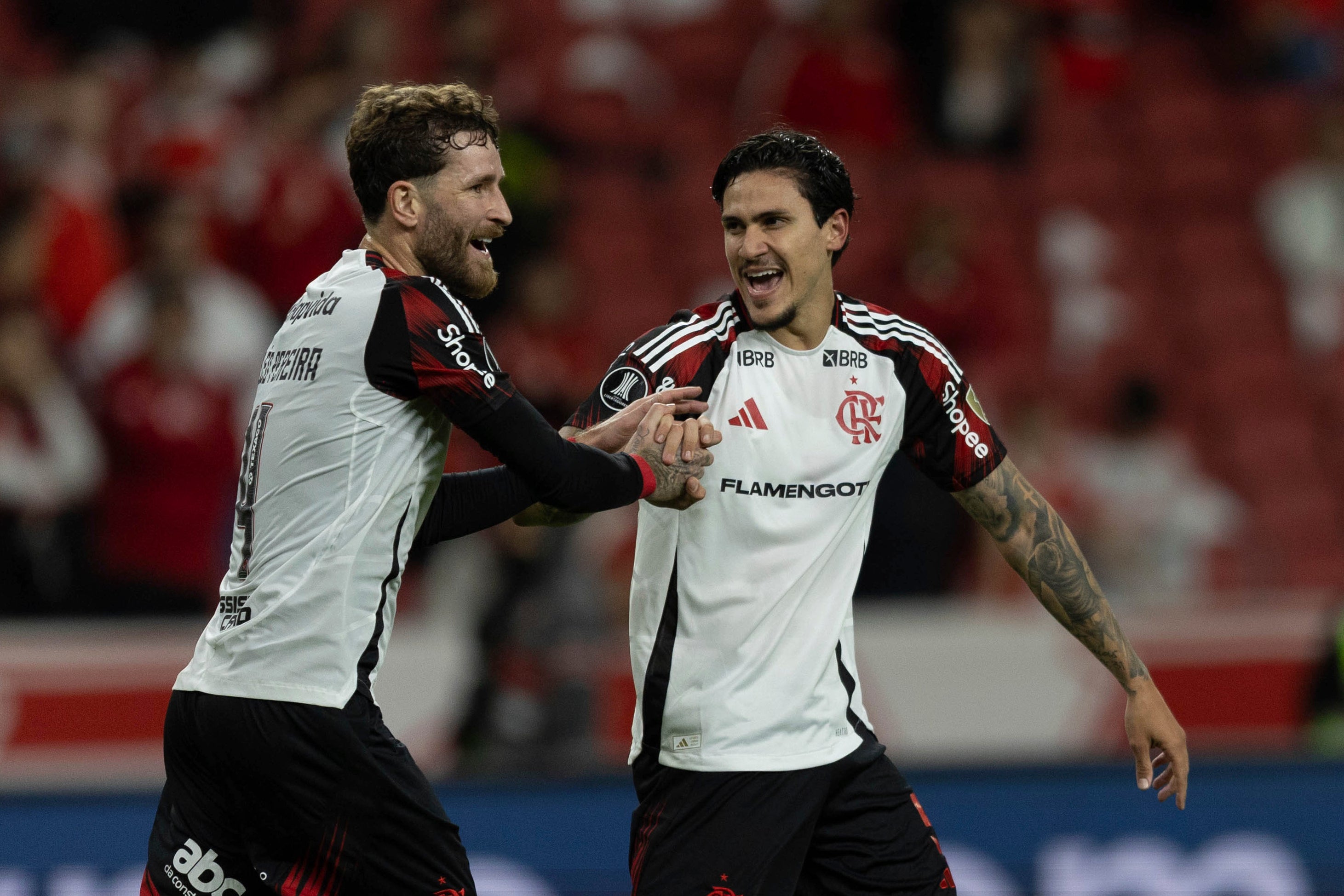 LIBERTADORES-RESUMEN