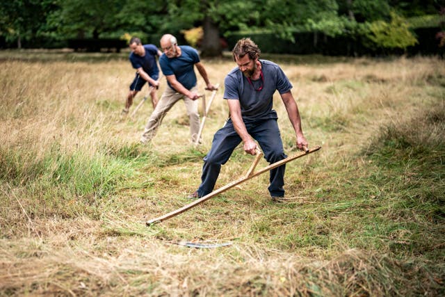 Mowers and members of the Scythe Association of Britain & Ireland use scythes to cut through meadowland at Highgrove, in Gloucestershire (Ben Birchall/PA)