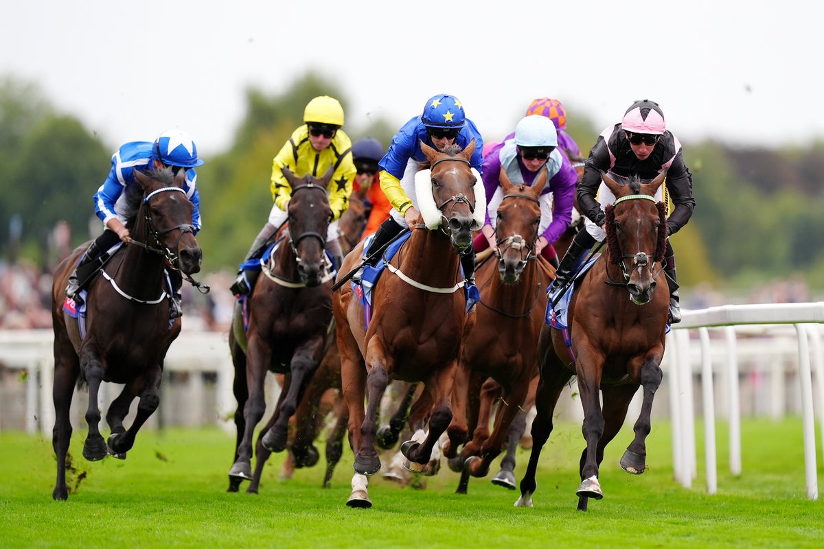 Friday racing tips: Best bets and odds for day three at York’s Ebor Festival