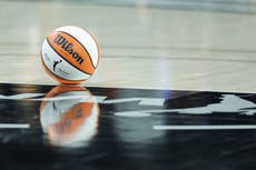 Fan, 32, accused of throwing sex toy at 12-year-old girl during WNBA game