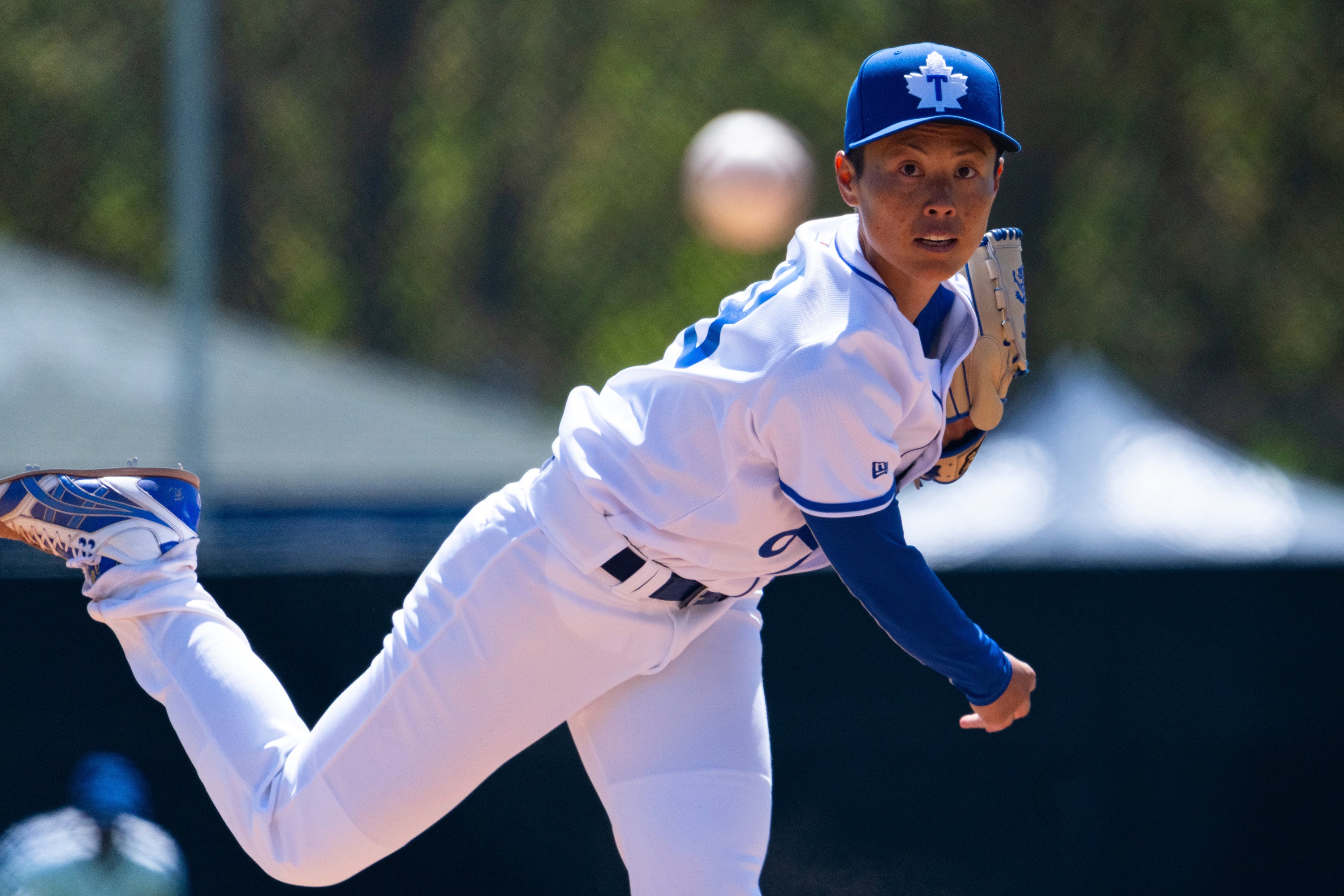 WPBL Tryouts Preview Baseball