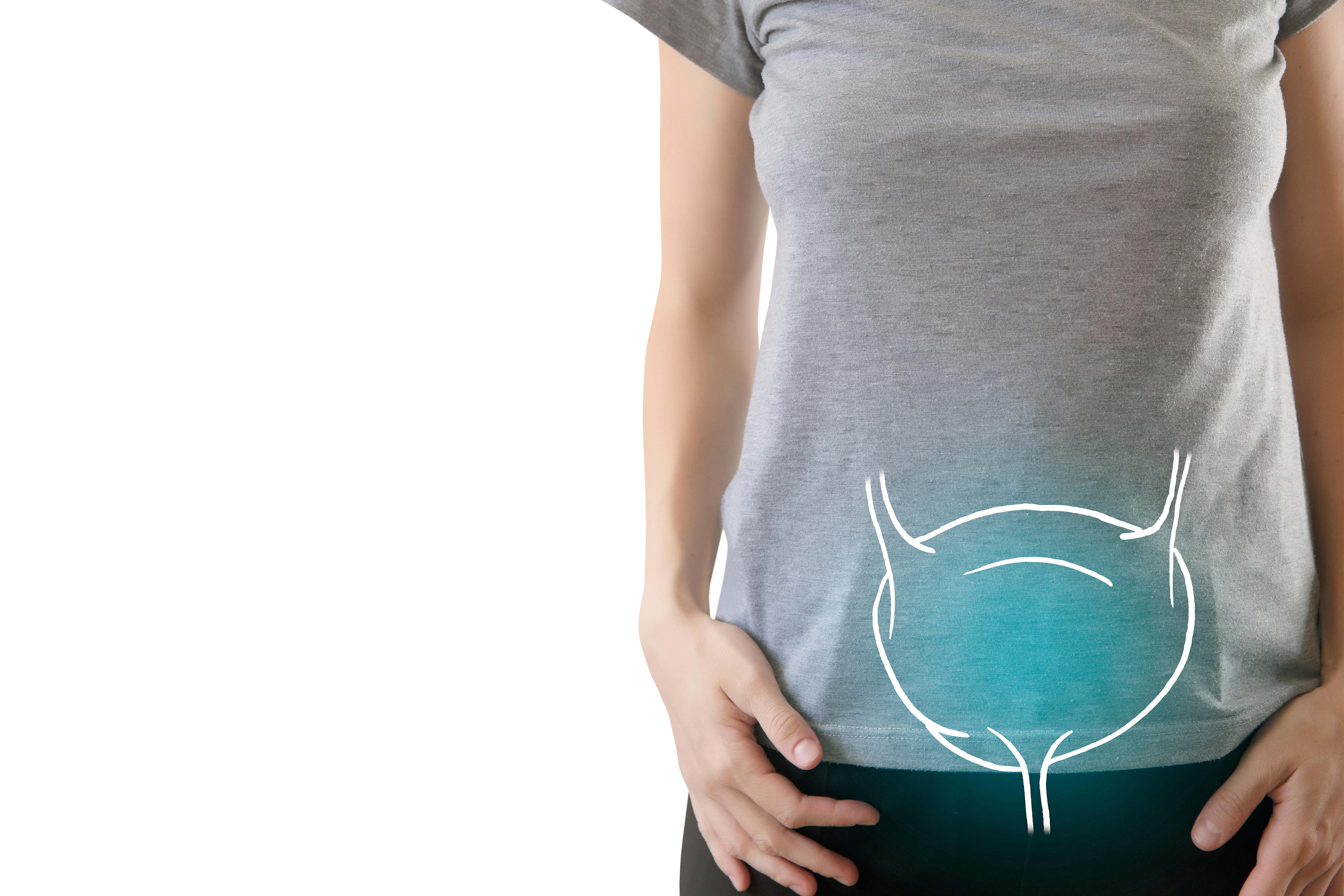 The bladder is often - but wrongly - overlooked in terms of general health