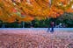 Farmer’s Almanac predicts when to expect peak fall foliage across the US