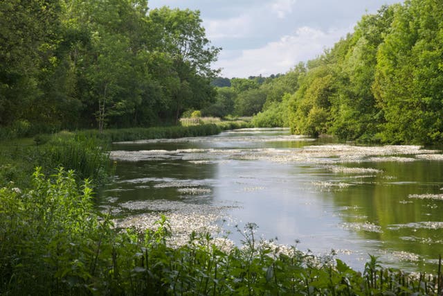 The River Kennet is an important chalk stream and has protected designations (Alamy/PA)