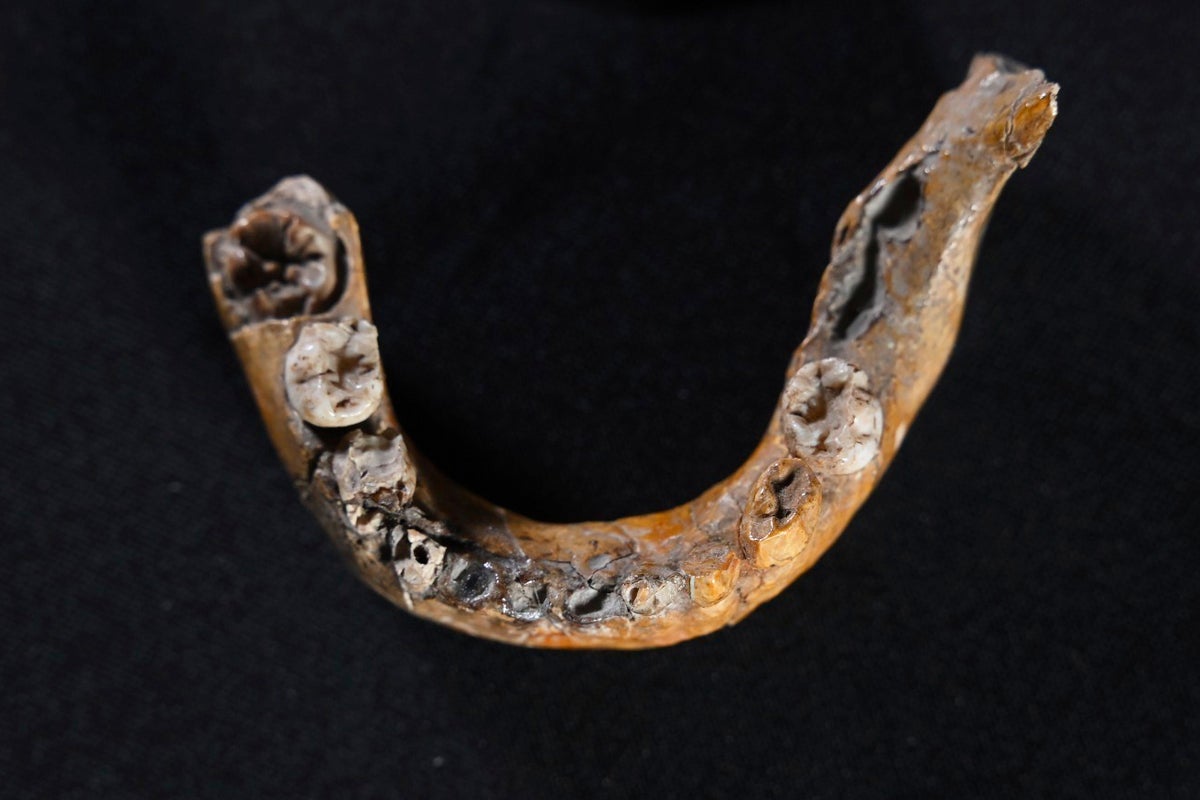 What the bones of an ancient child reveal about inbreeding between humans and Neanderthals