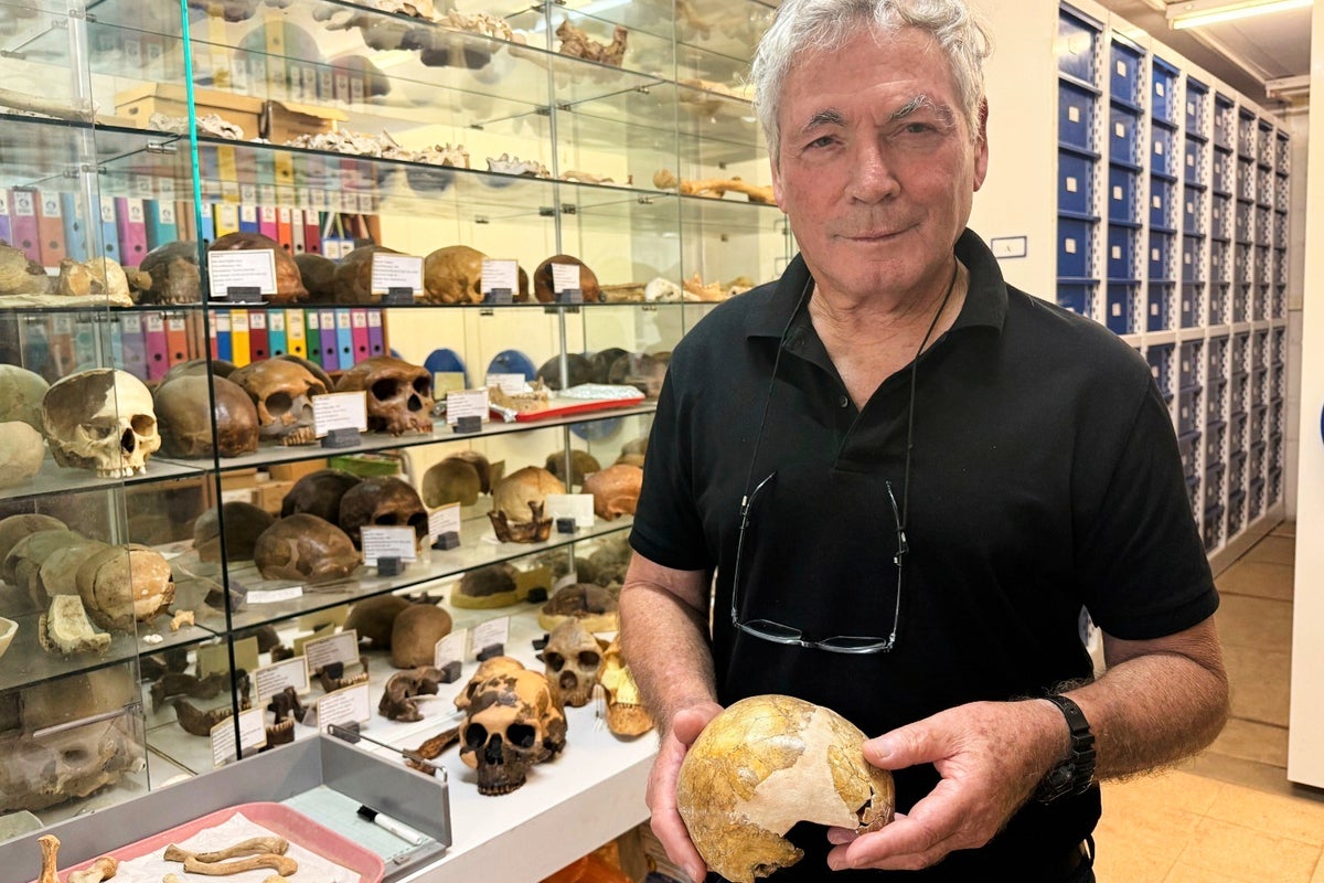 Bones of ancient child suggest humans could have interbred with Neanderthals earlier than thought
