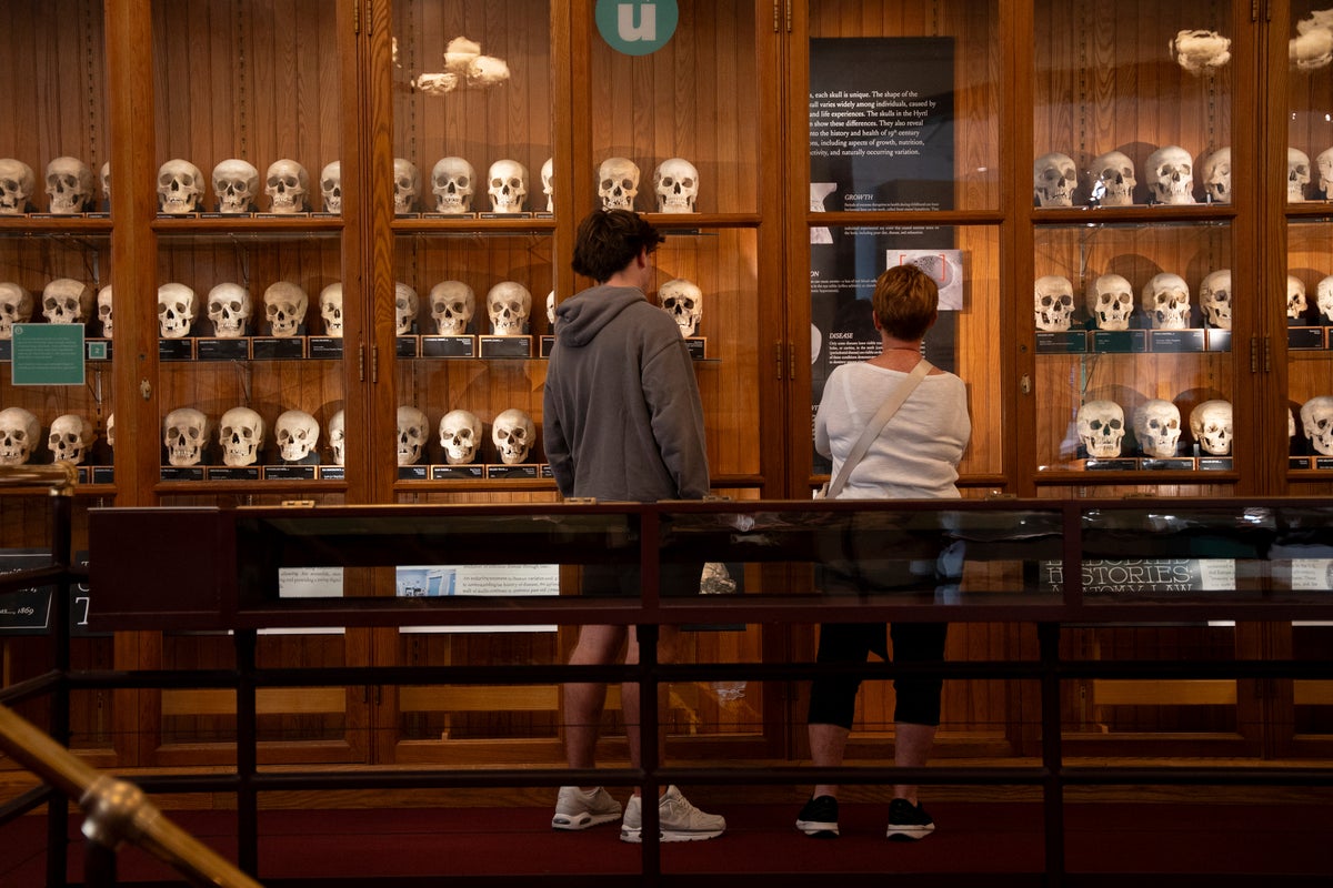 Medical museum in Philadelphia overhauls policies on human remains to meet modern ethical standards