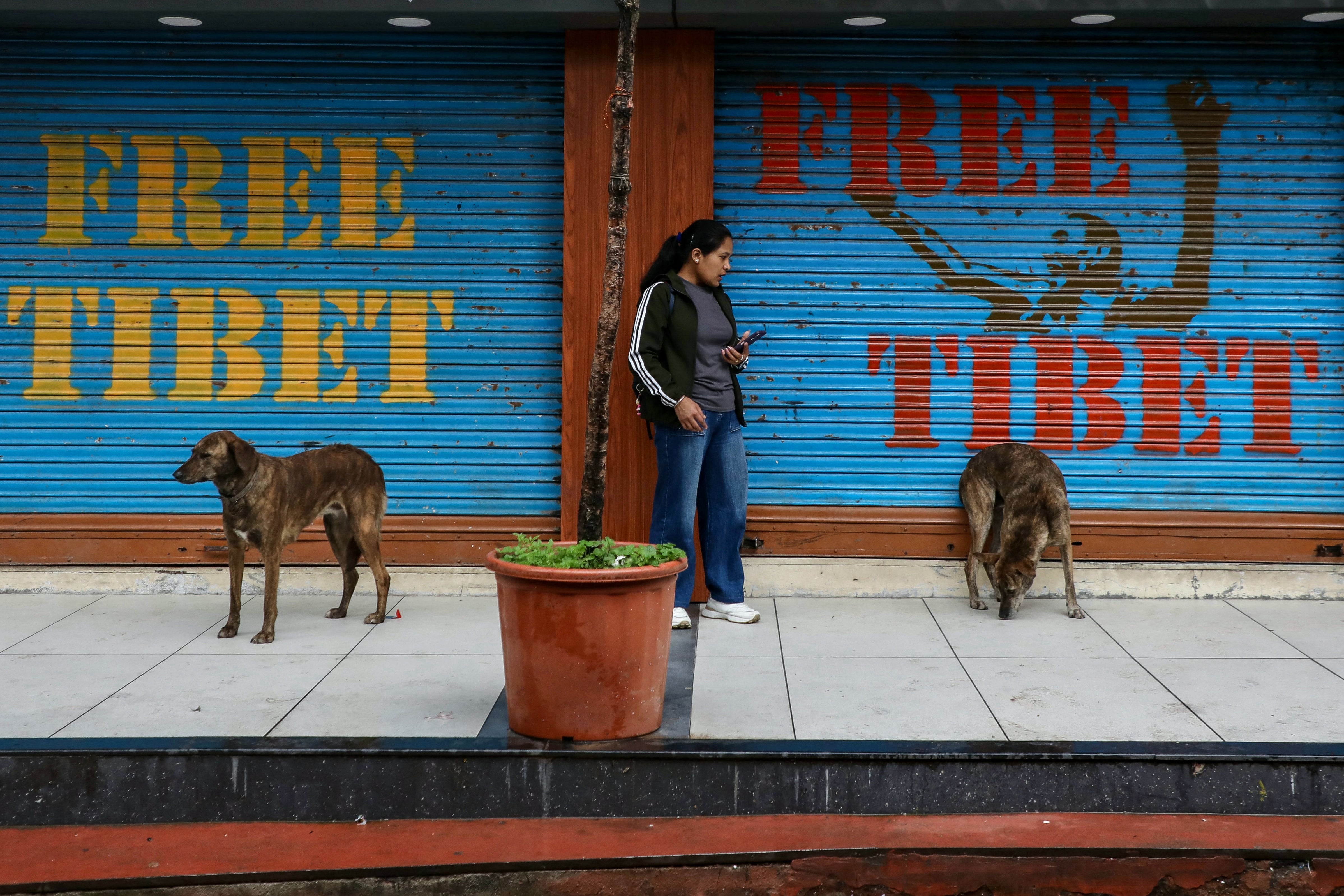 A woman stands next to the closed shops with ‘Free Tibet’ written on them on a rainy day in McLeod Ganj, Himachal Pradesh, India, on 4 July 2025. The Dalai Lama said on 2 July that the 600-year-old Tibetan spiritual institution would continue after his death, reassuring Buddhist followers around the globe and saying his office ‘exclusively’ would name his successor