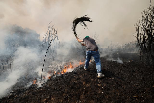 <p>A man battles a wildfire in Veiga das Meas, northwestern Spain</p>