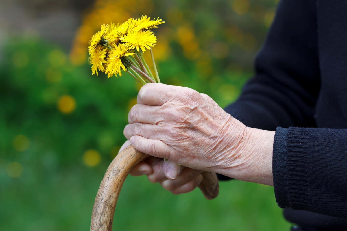 Gardening with arthritis: Tips to ease the pain