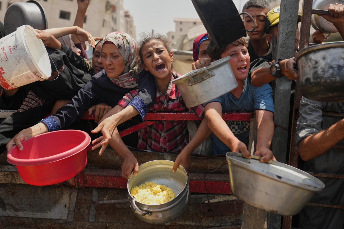 Famine grips Gaza's largest city and is likely to spread, authority on food crises says