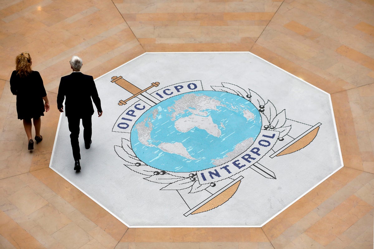 Large Interpol cybercrime crackdown in Africa leads to the arrest of over 1,200 suspects