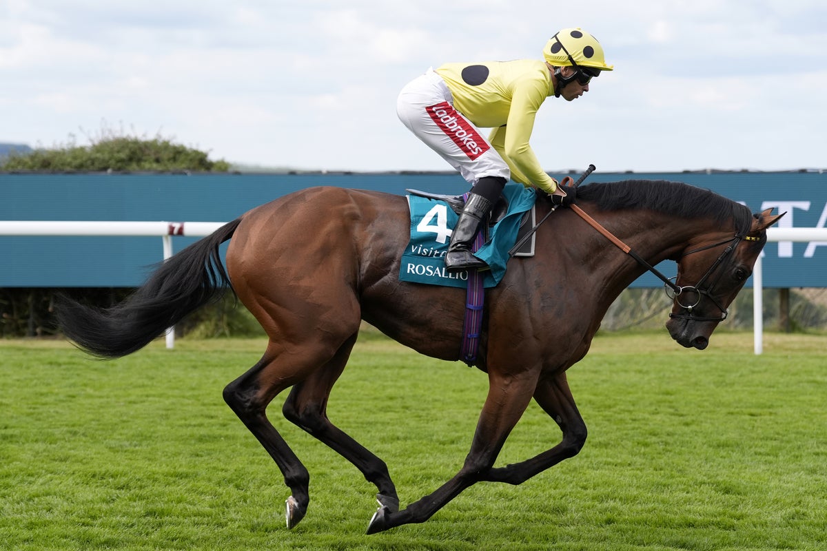 Saturday racing tips: Best bets and odds for day four at York’s Ebor Festival