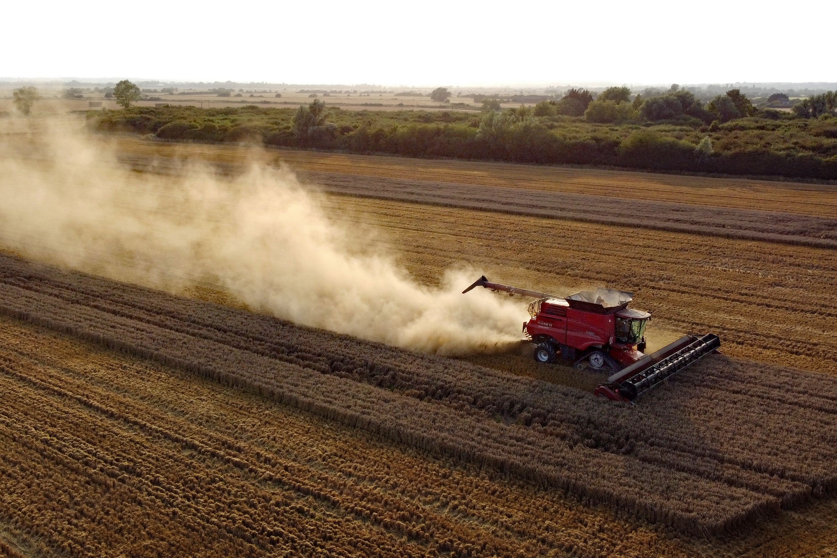 The UK could be set for one of its worst harvests ever (Gareth Fuller/PA)