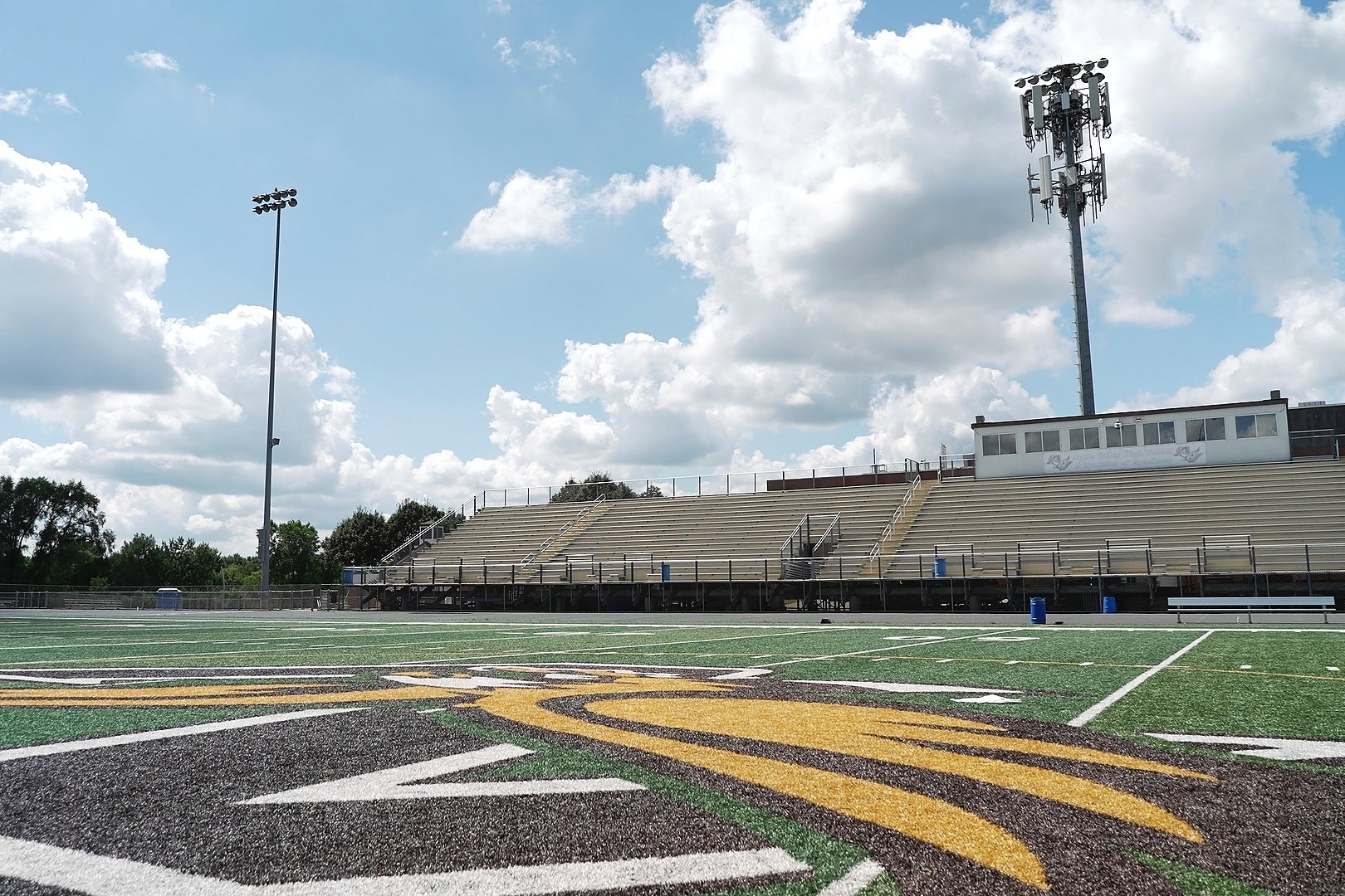 Minnesota Osprey Nest Football Field