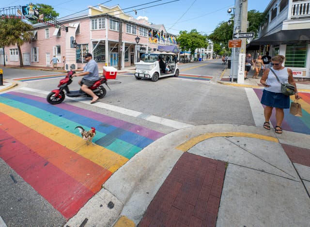 Rainbow Crosswalk Removed
