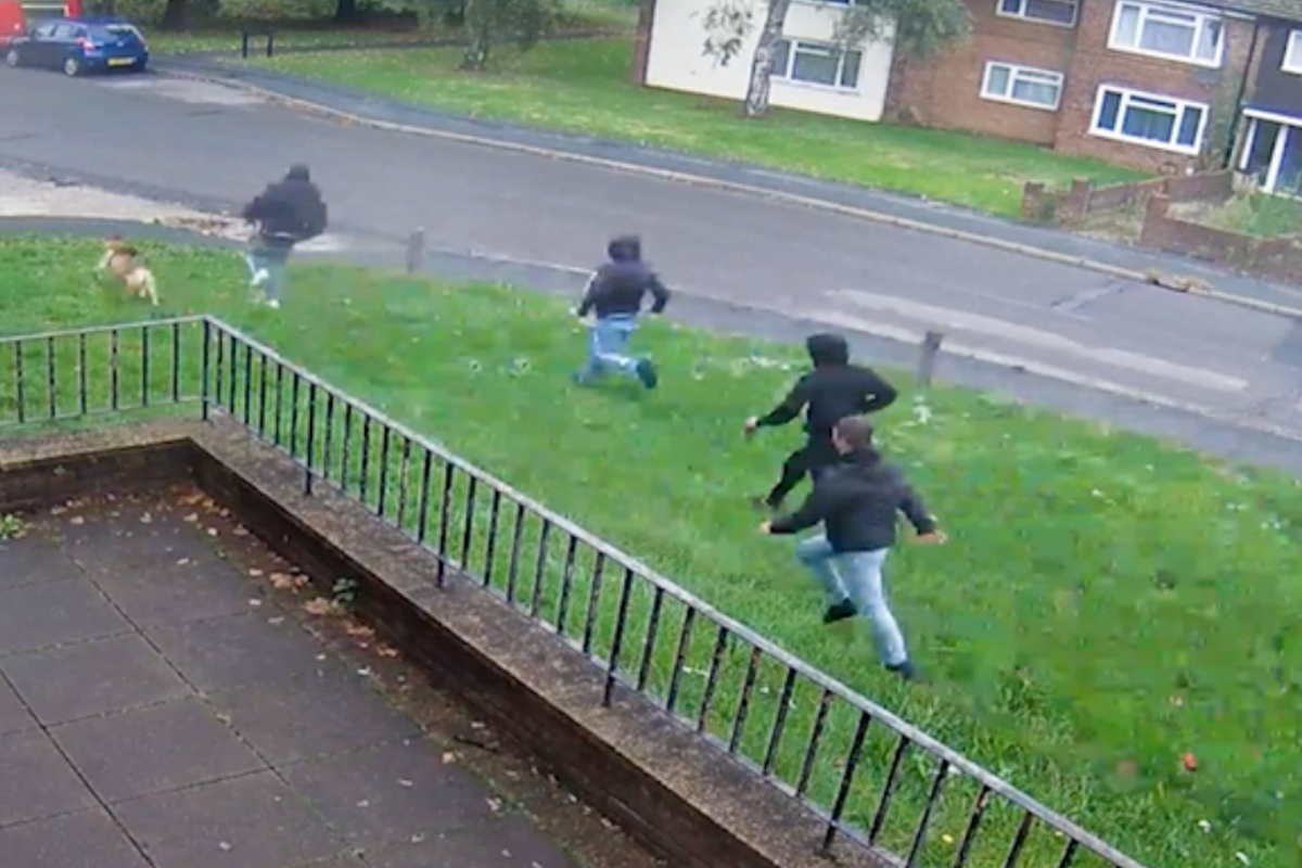 Moment man walking dog chased before fatal stabbing in Essex