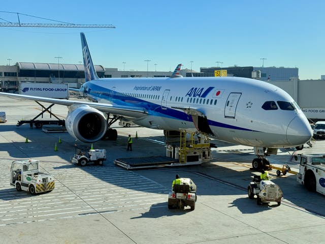 <p>File. An ANA Airlines Boeing 777 sits at gate in Los Angeles International Airport (LAX), located in Southern California, on 6 January 2025</p>