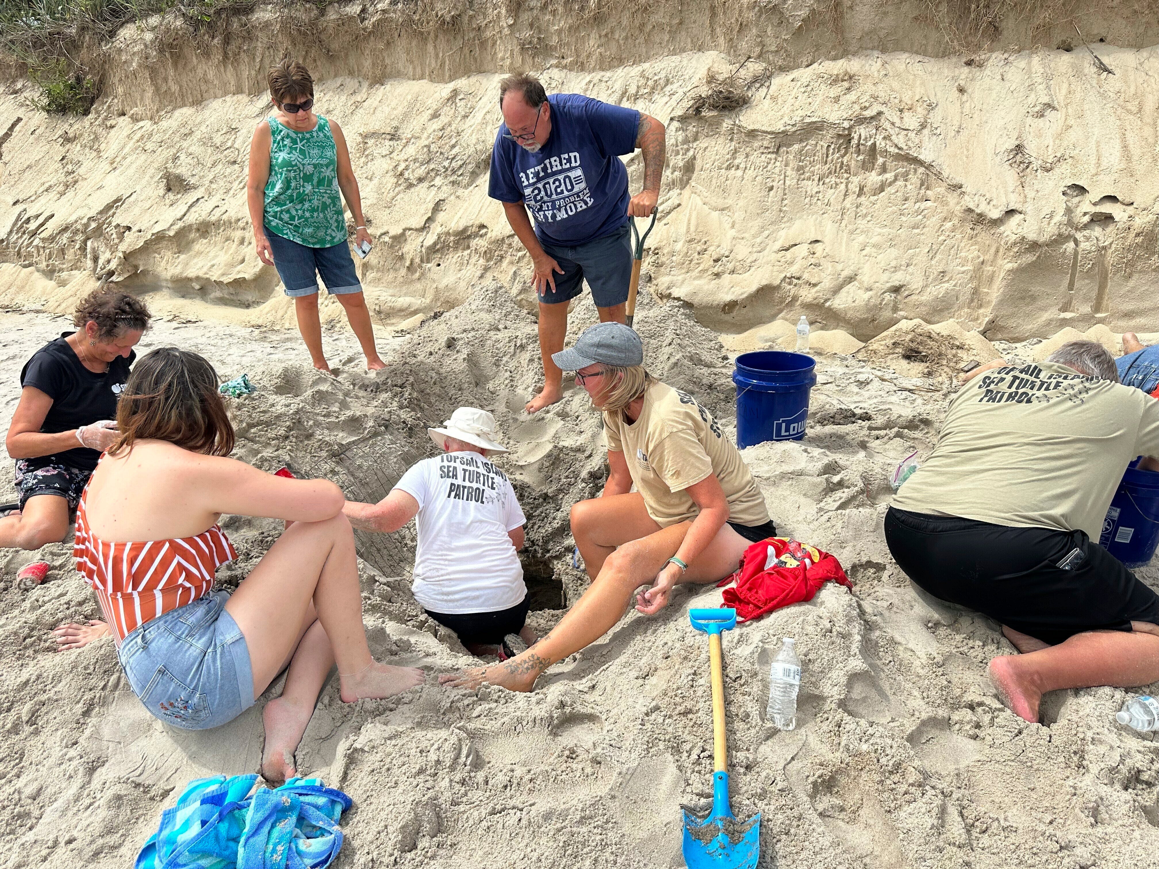 AMN-CLI EEUU-TORTUGAS-ERIN