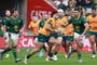 Springboks bid to hit back after shock Australia defeat - live