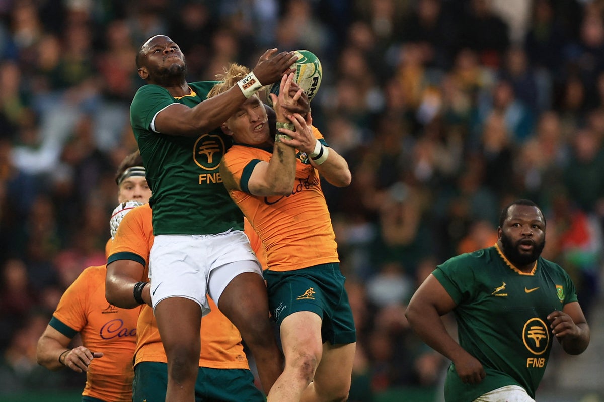 South Africa vs Australia live: Wallabies and Springboks in tight battle in Rugby Championship