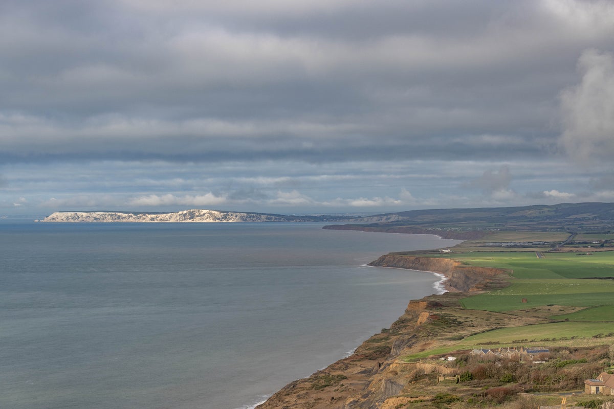 Isle of Wight helicopter crash latest: Emergency services on scene after aircraft crashes into field