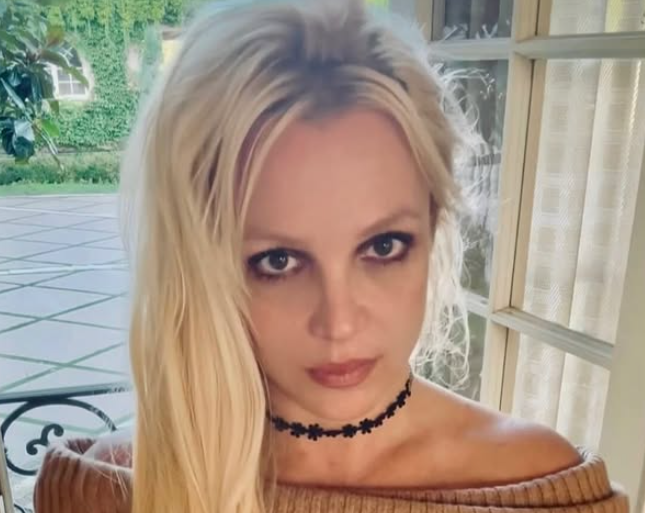Britney Spears shared a candid post about the 'hardest years' when she was estranged from her two sons
