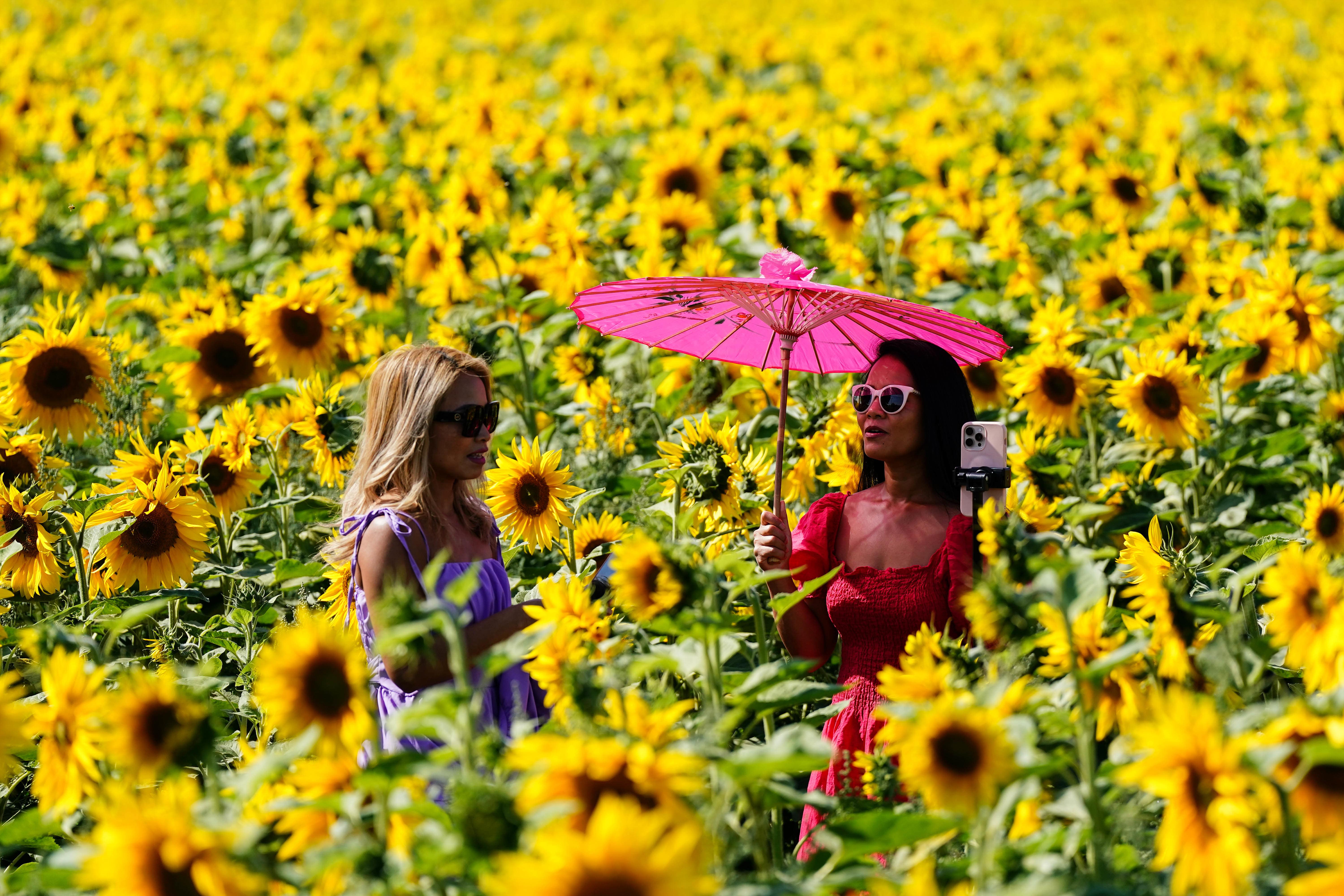 For the rest of the week temperatures will be nearer average (Jacob King/PA)