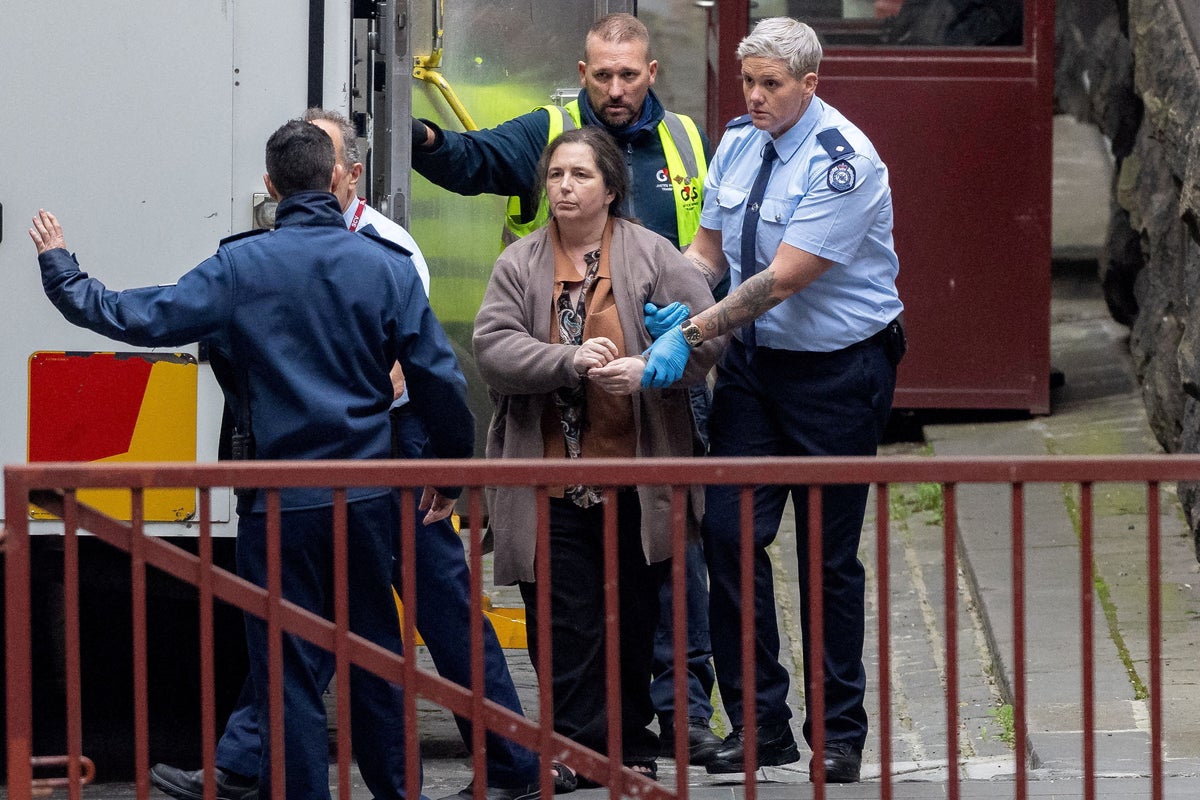 Erin Patterson plea hearing: Ian Wilkinson says he feels ‘only half alive’ without late wife