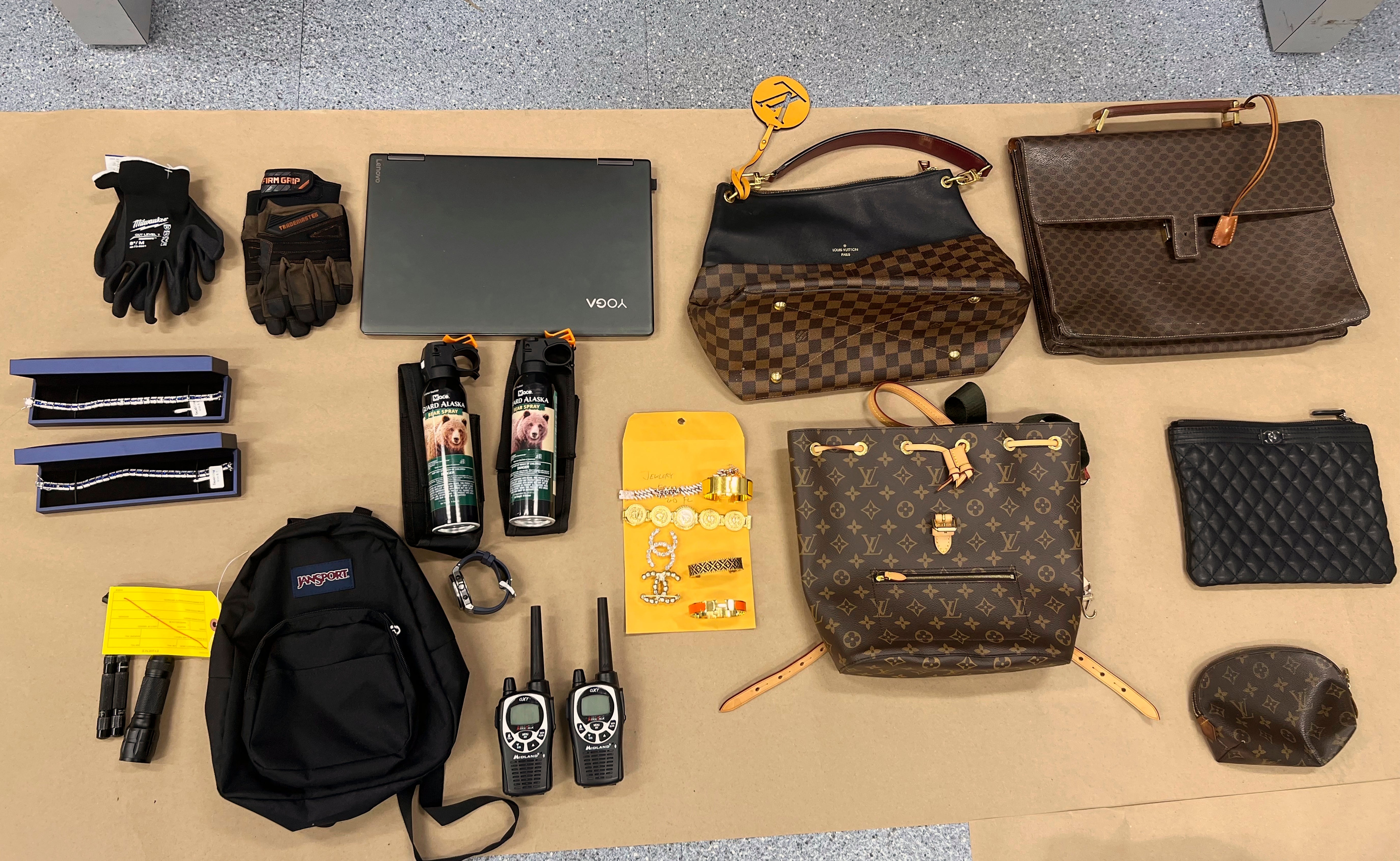 Los Angeles Burglary Arrest