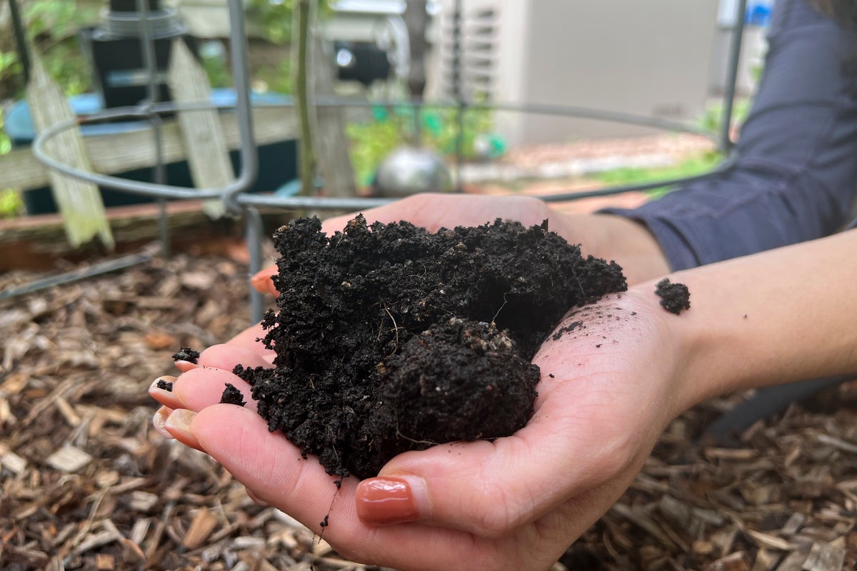 Gardening's hidden benefits: How digging in the dirt could bolster mental wellbeing