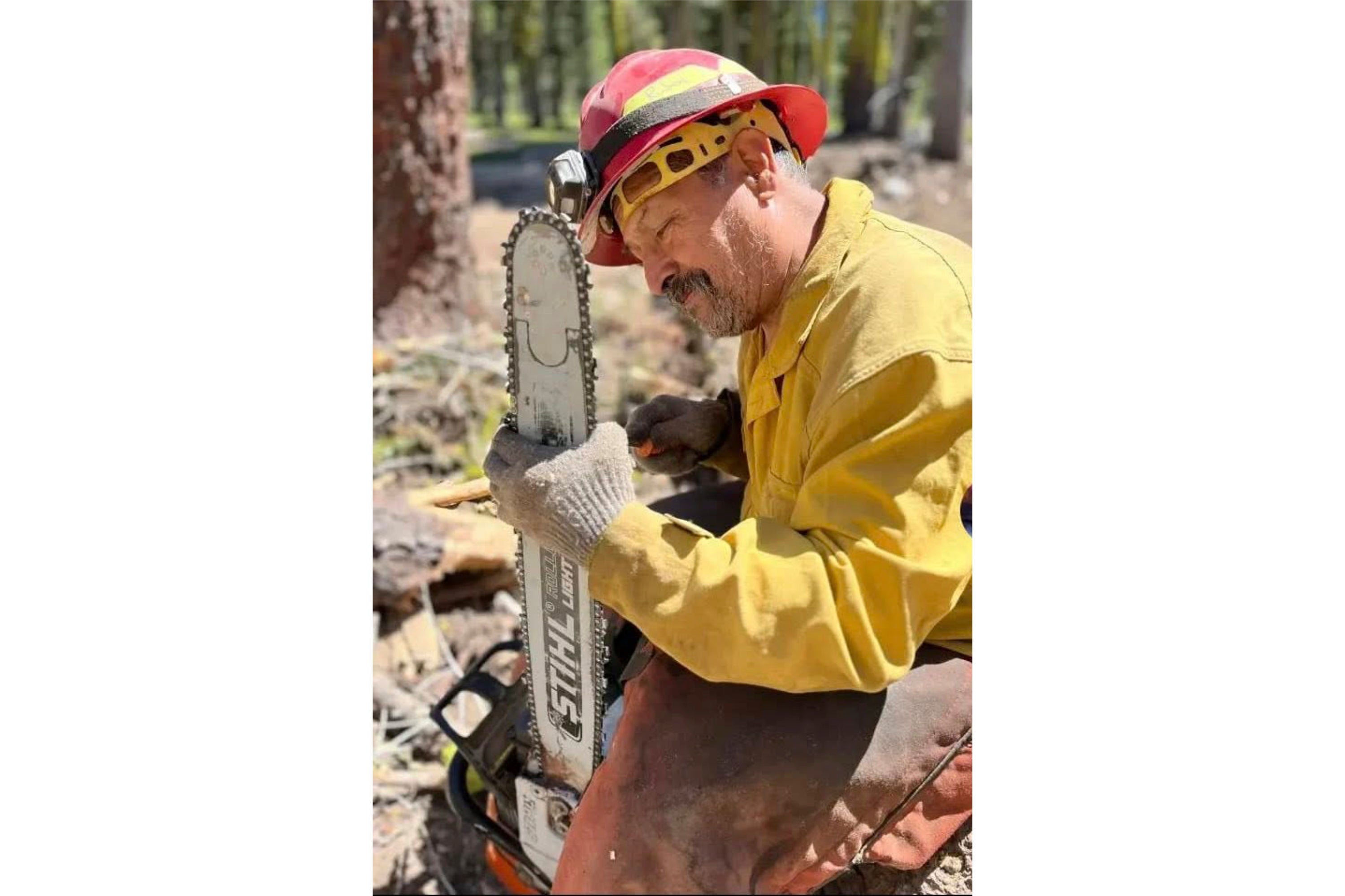 Wildland Firefighter Killed Montana