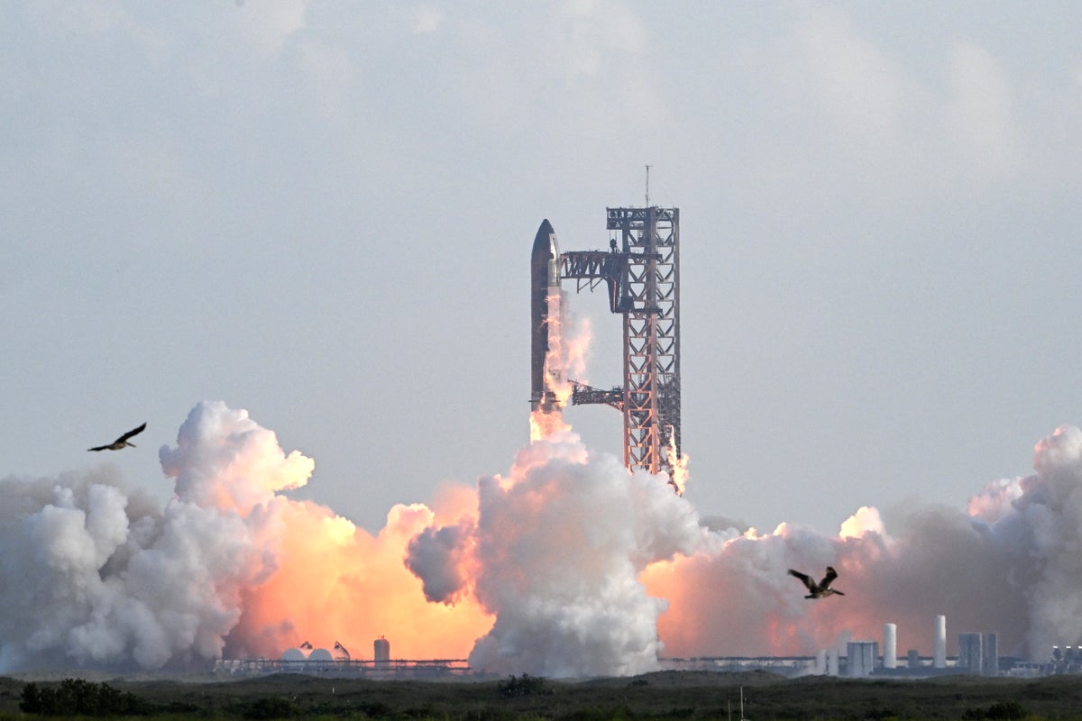 SpaceX sets sights on moon after successful test flight