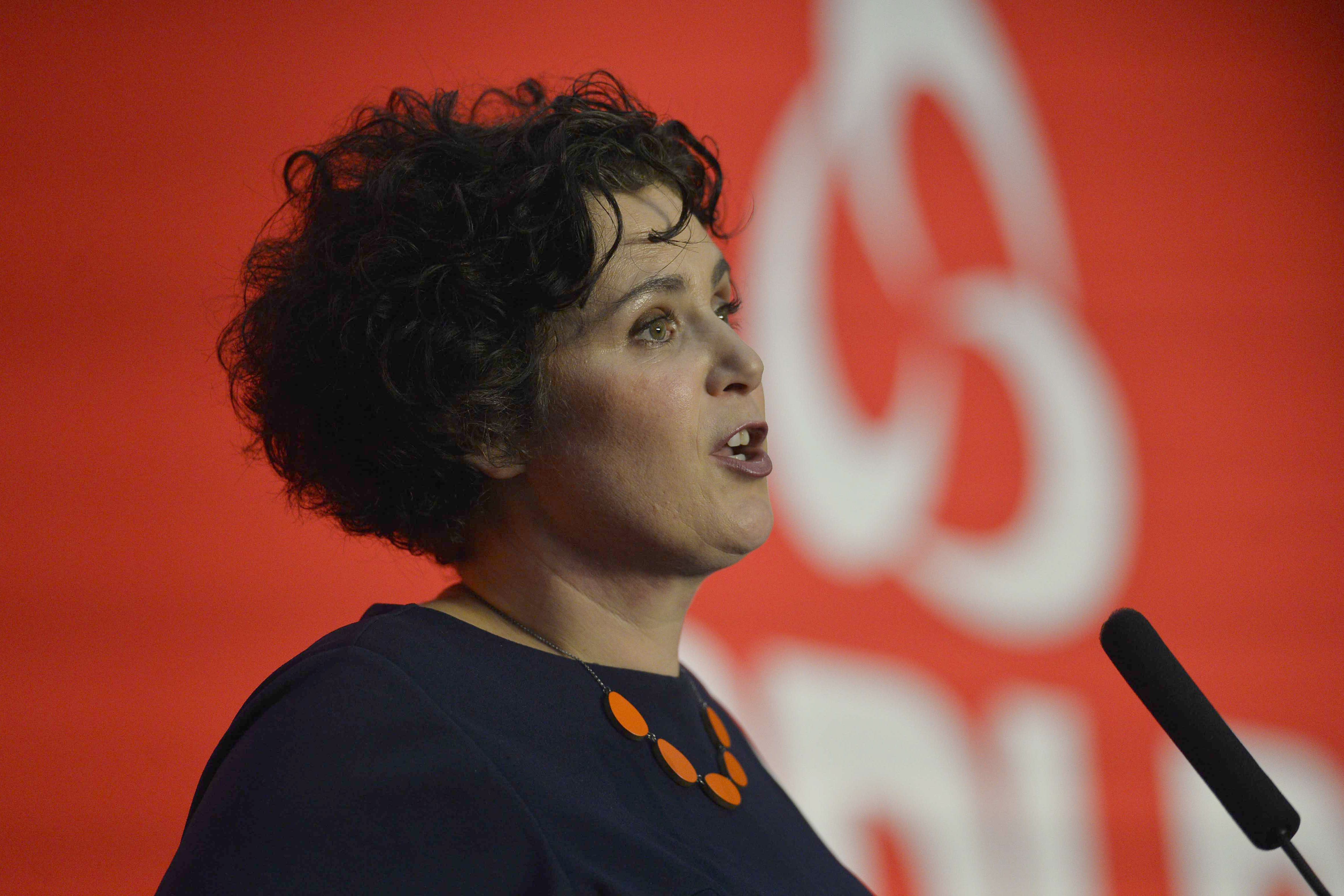 SDLP leader Claire Hanna has criticised Nigel Farage’s plans to renegotiate the Good Friday Agreement (Mark Marlow/PA)